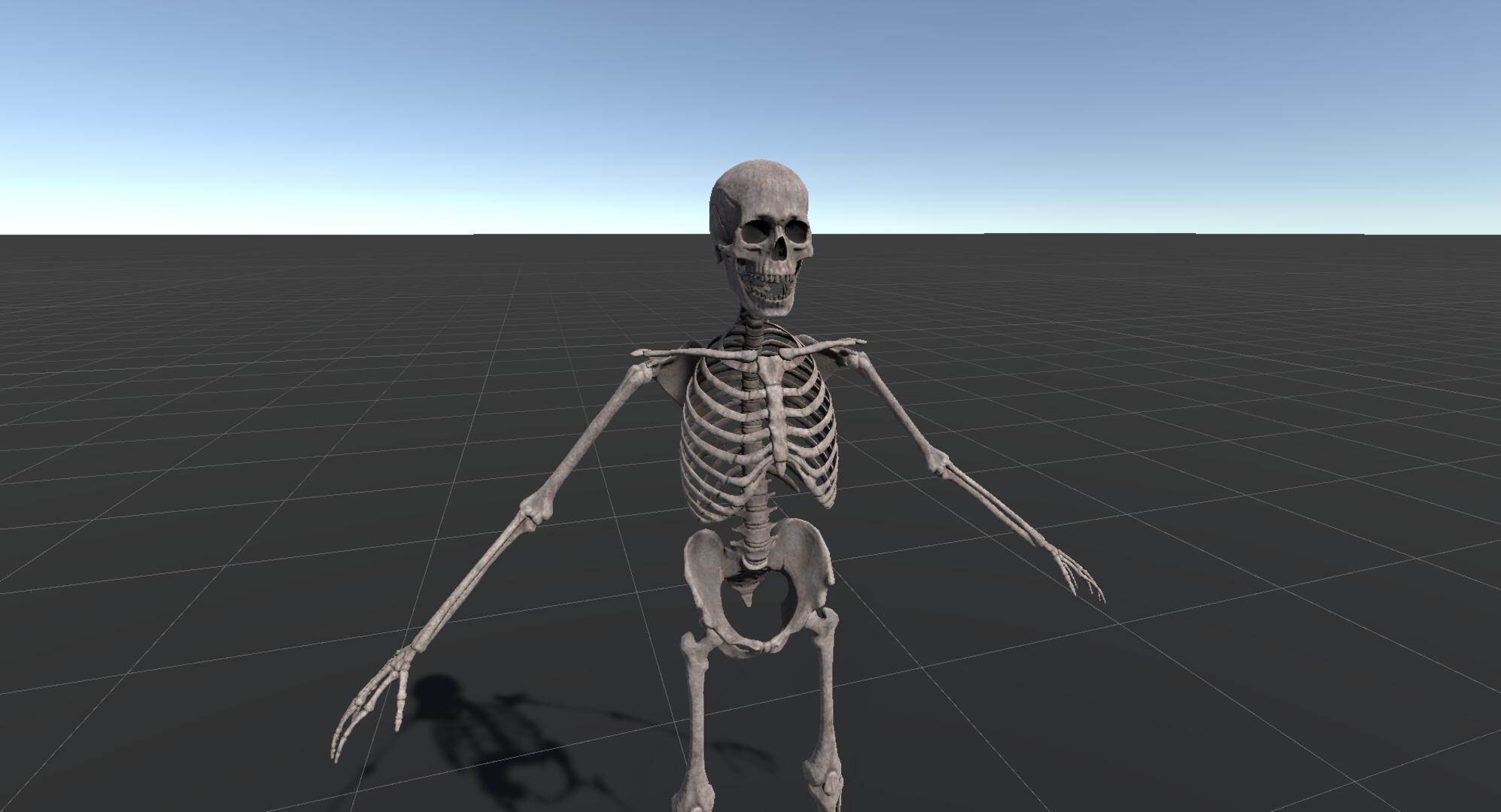 Skeleton Avatar Screenshot