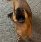 crap ahh button Screenshot