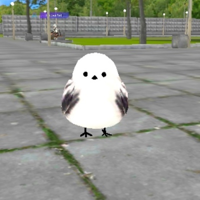 Singing Bird! Screenshot