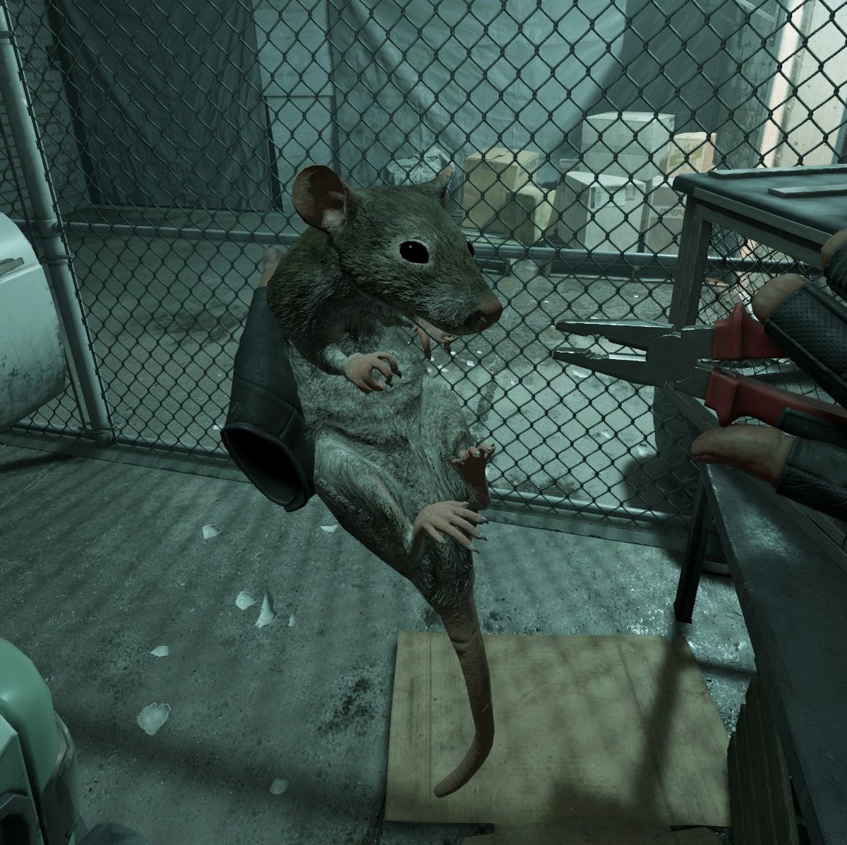 Rat Screenshot