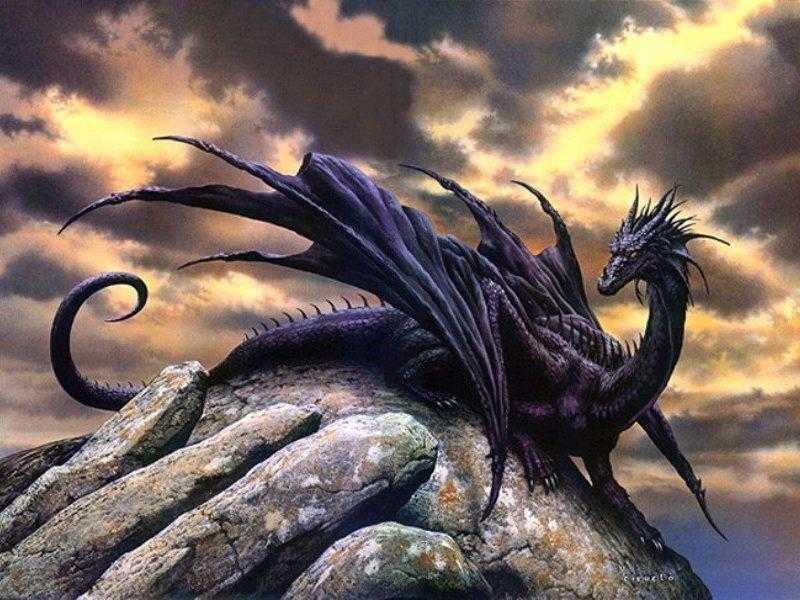 Black Dragon Generic Avatar Screenshot