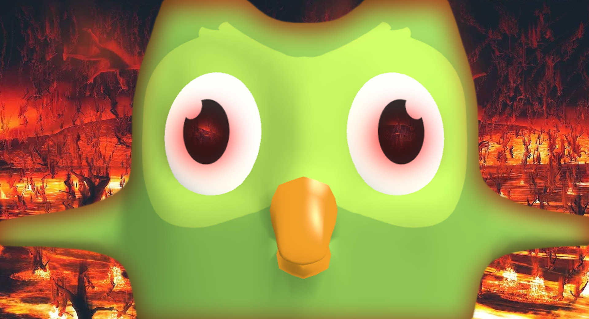 Duolingo Owl With Language Gestures Screenshot