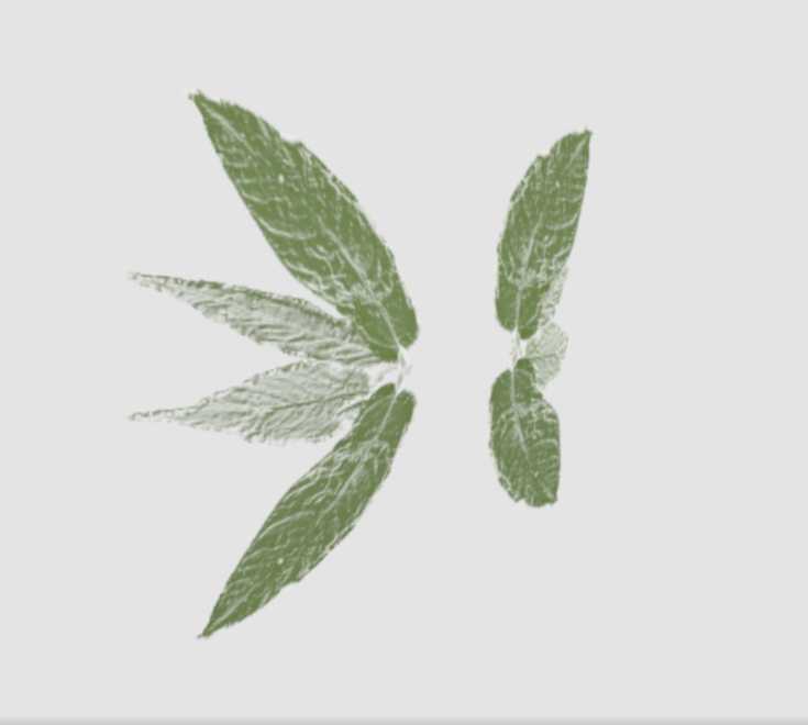 Green Leaf Wings Screenshot