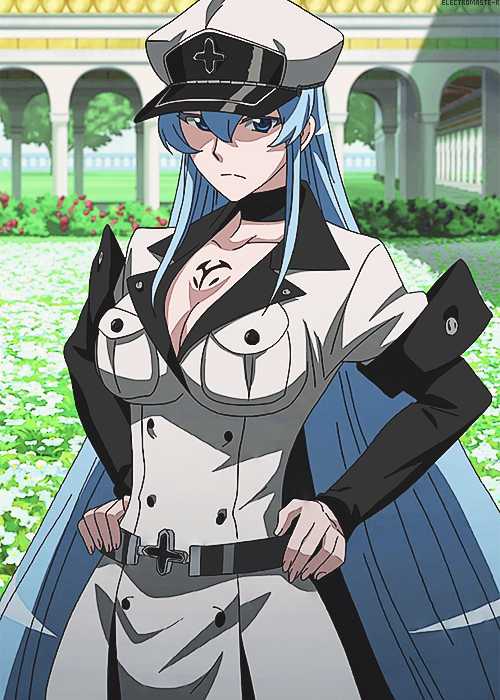 Esdeath Screenshot