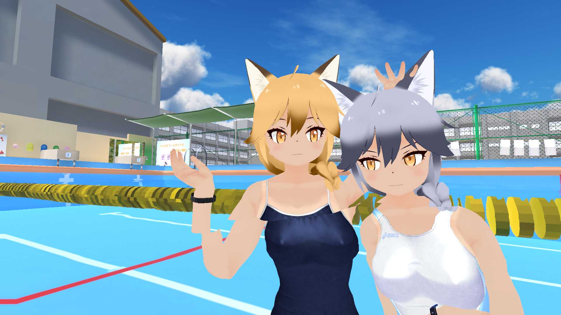Swimming Foxes Screenshot