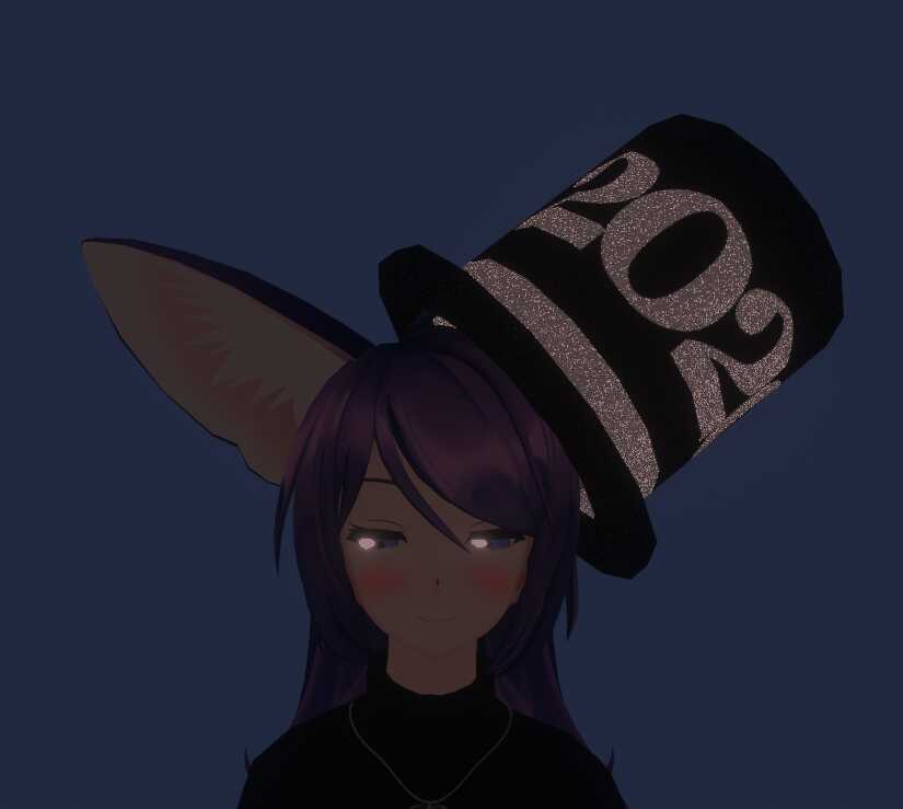 2020 Hat Screenshot