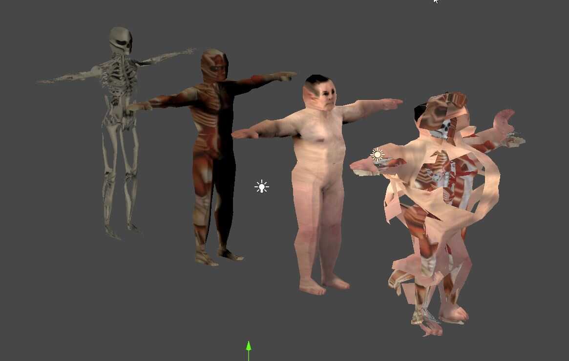 Anatomy Screenshot