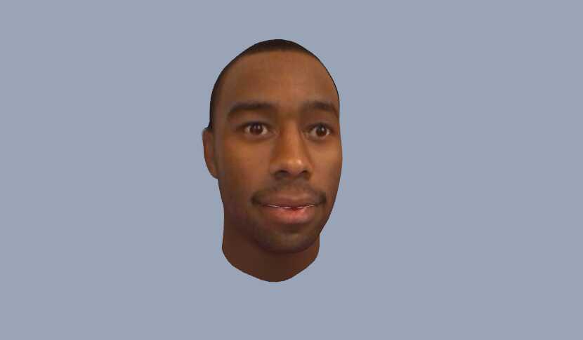 Tyler's Head Screenshot