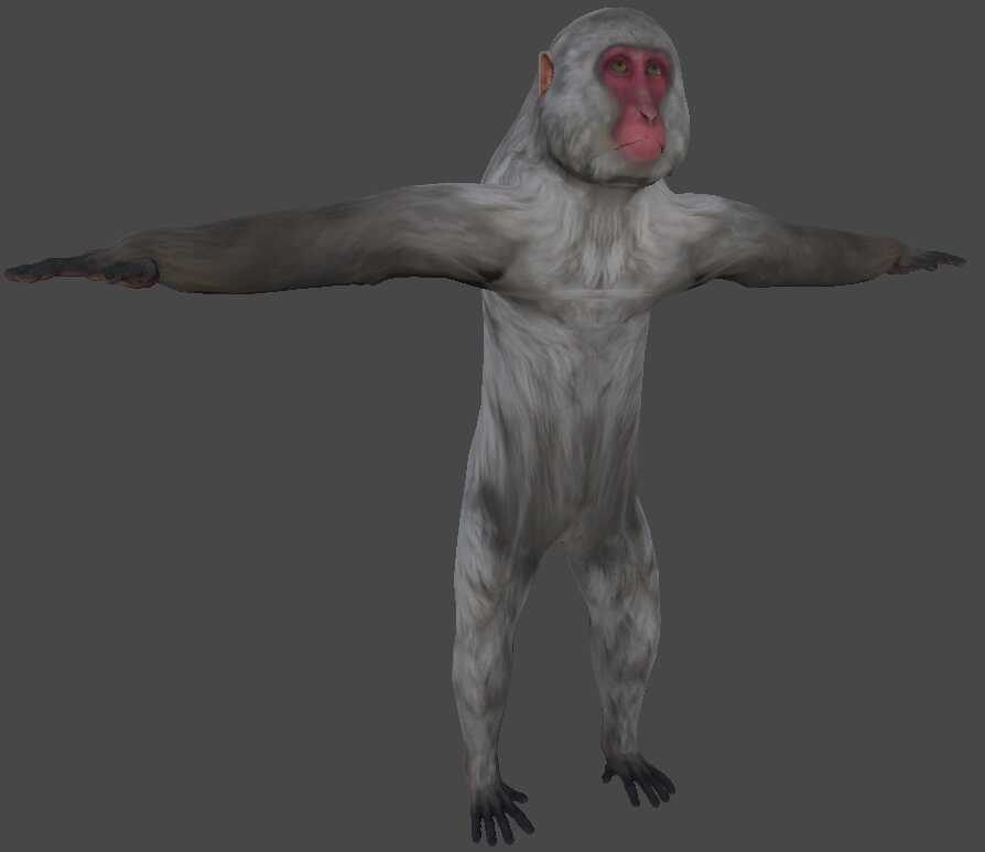 Japanese Macaque - Planet Zoo Screenshot