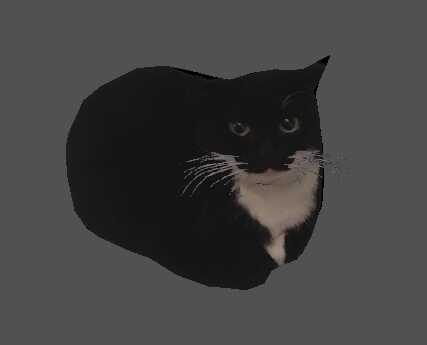 Maxwell the carryable cat Screenshot