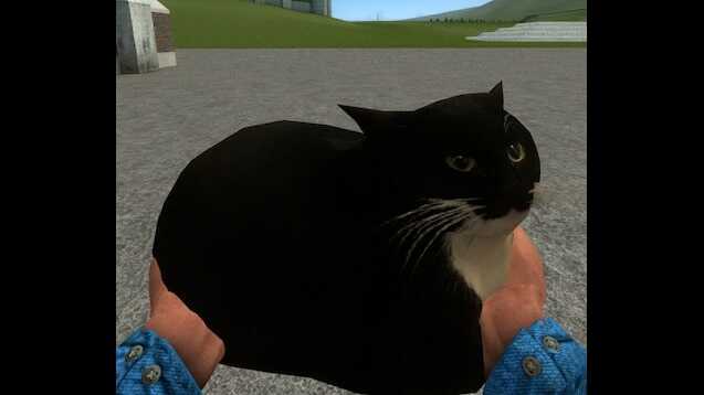 Maxwell the carryable cat Screenshot