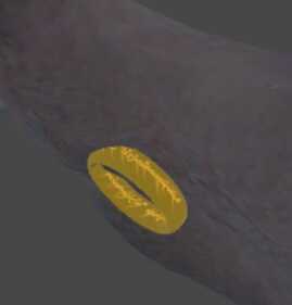 Gollum (with ring, visemes, eye tracking, and invisibility dance) Screenshot