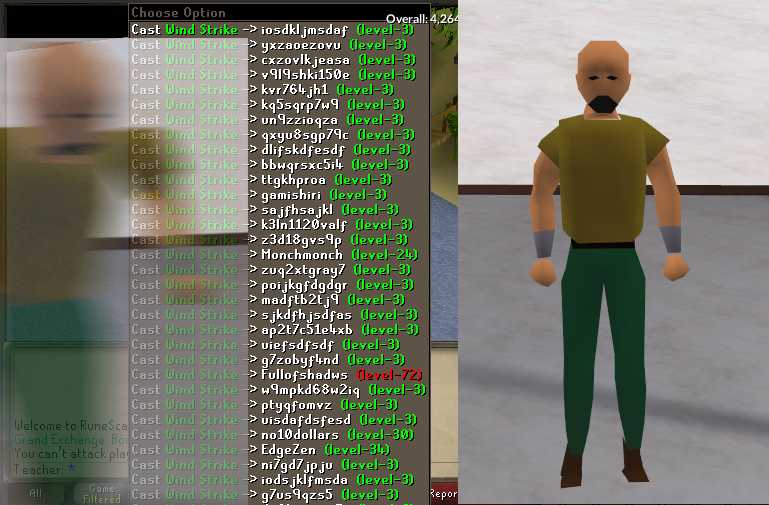 [Runescape] Bot Character Screenshot