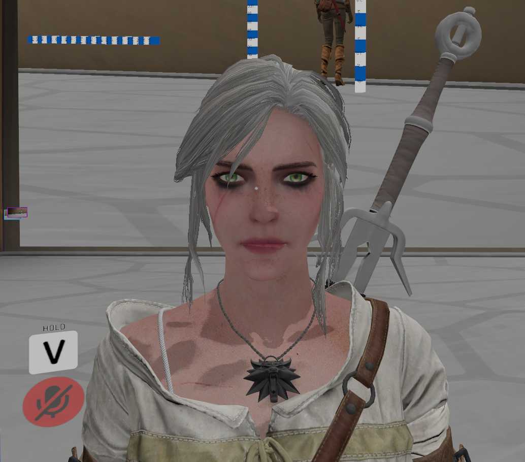 Witcher 3 - Ciri UPDATE (Visemes, Eye Tracking + more) Screenshot