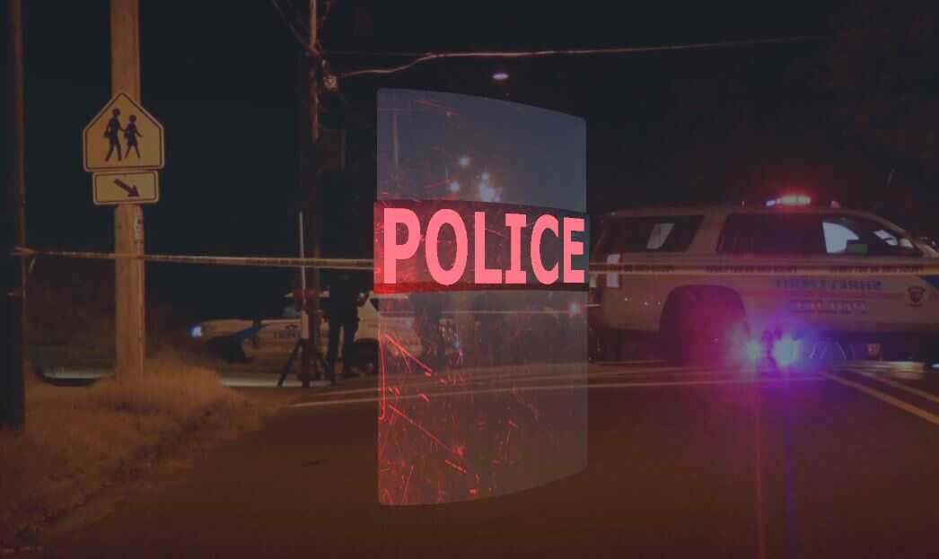 Standard Police Riot Shield Screenshot